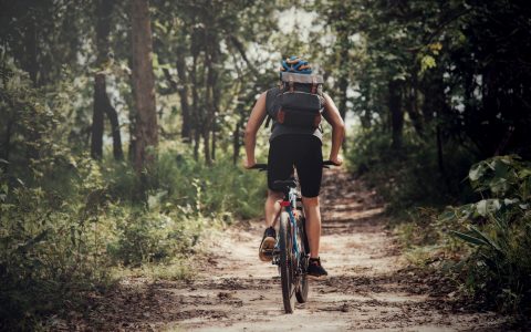 Vamos pedalar!